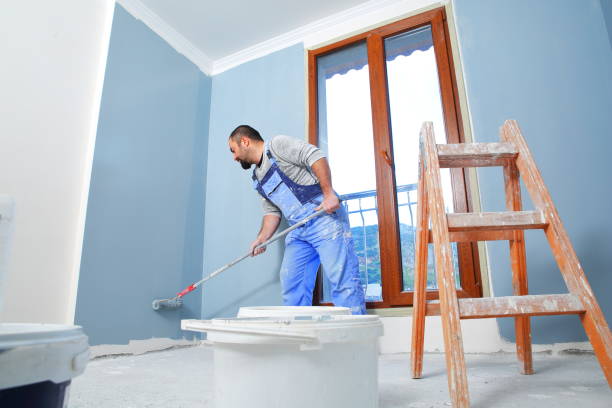 Professional Mold Removal in Woodfin, NC