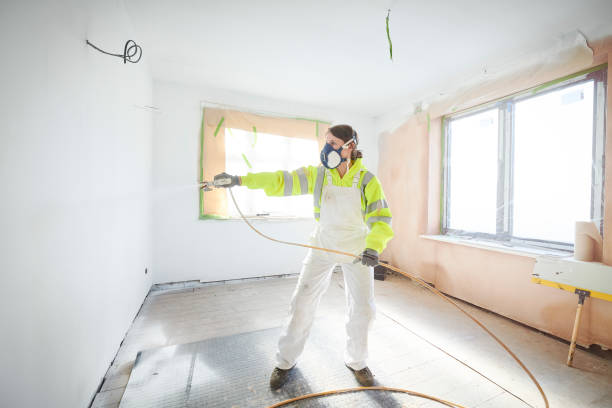 Best Environmental Consulting for Mold Prevention  in Woodfin, NC