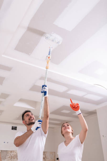 Best Mold Odor Removal Services  in Woodfin, NC