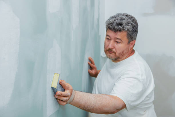Best Emergency Mold Remediation  in Woodfin, NC