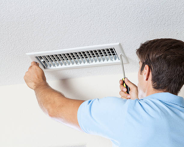 Best Black Mold Removal  in Woodfin, NC