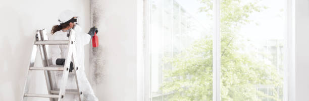 Mold Documentation for Insurance Claims in Woodfin, NC