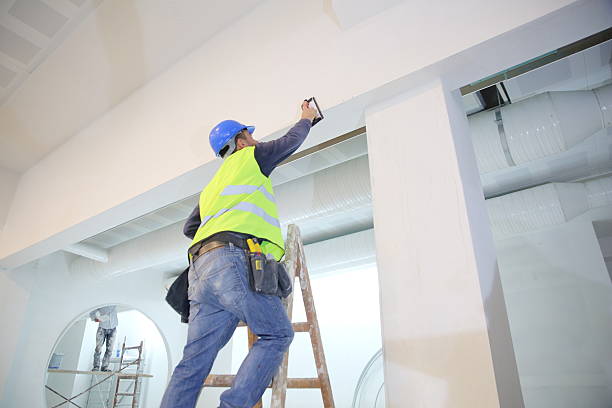 Best Mold Documentation for Insurance Claims  in Woodfin, NC
